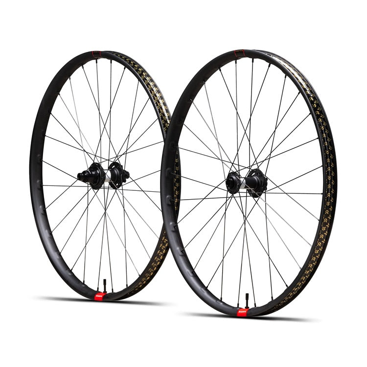 Juego Ruedas MTB Reserve 30/SL Carbono DT Swiss 350 DEG DF XD 6 Tornillos Negro