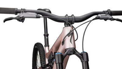 Levo SL 2 Expert Carbon Specialized 2025 Champaign/Cool Grey/Metallic Obsidian #5