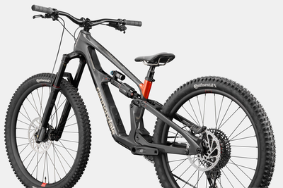 Cannondale Bad Habit 1 2026 Raw #7