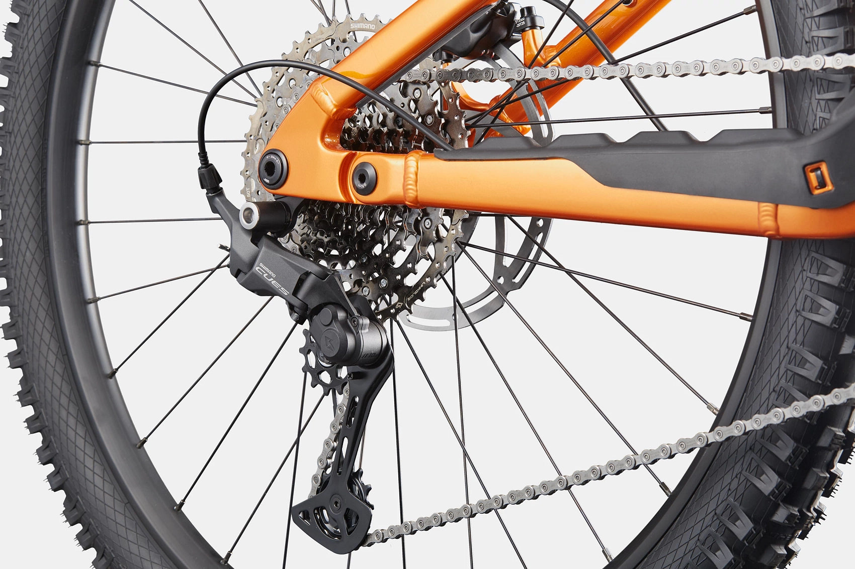 Moterra Neo 4 Plus Cannondale 2025 Tiger Eye #6