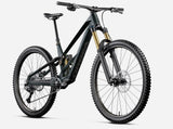 Rowery Orbea Rallon RS-Ltd 2027 Escape Green/Carbon View Matt