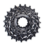 Xlc Kaseta 8s Campagnolo Silver