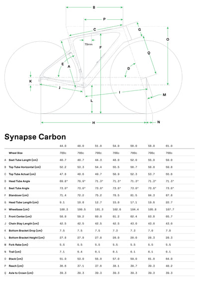 Synapse Carbon 2 Cannondale 2025 Grey #8